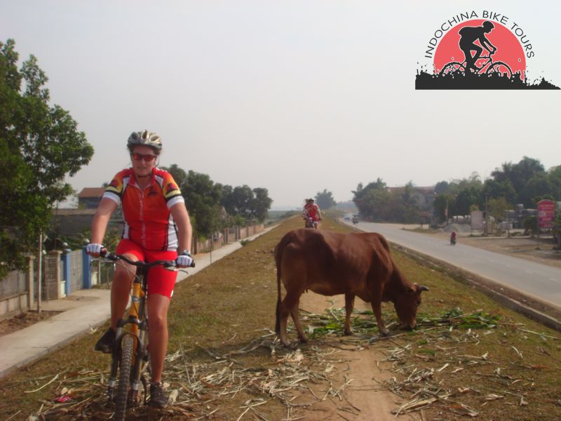 Zoo Safari Cycling Tours – 2 days